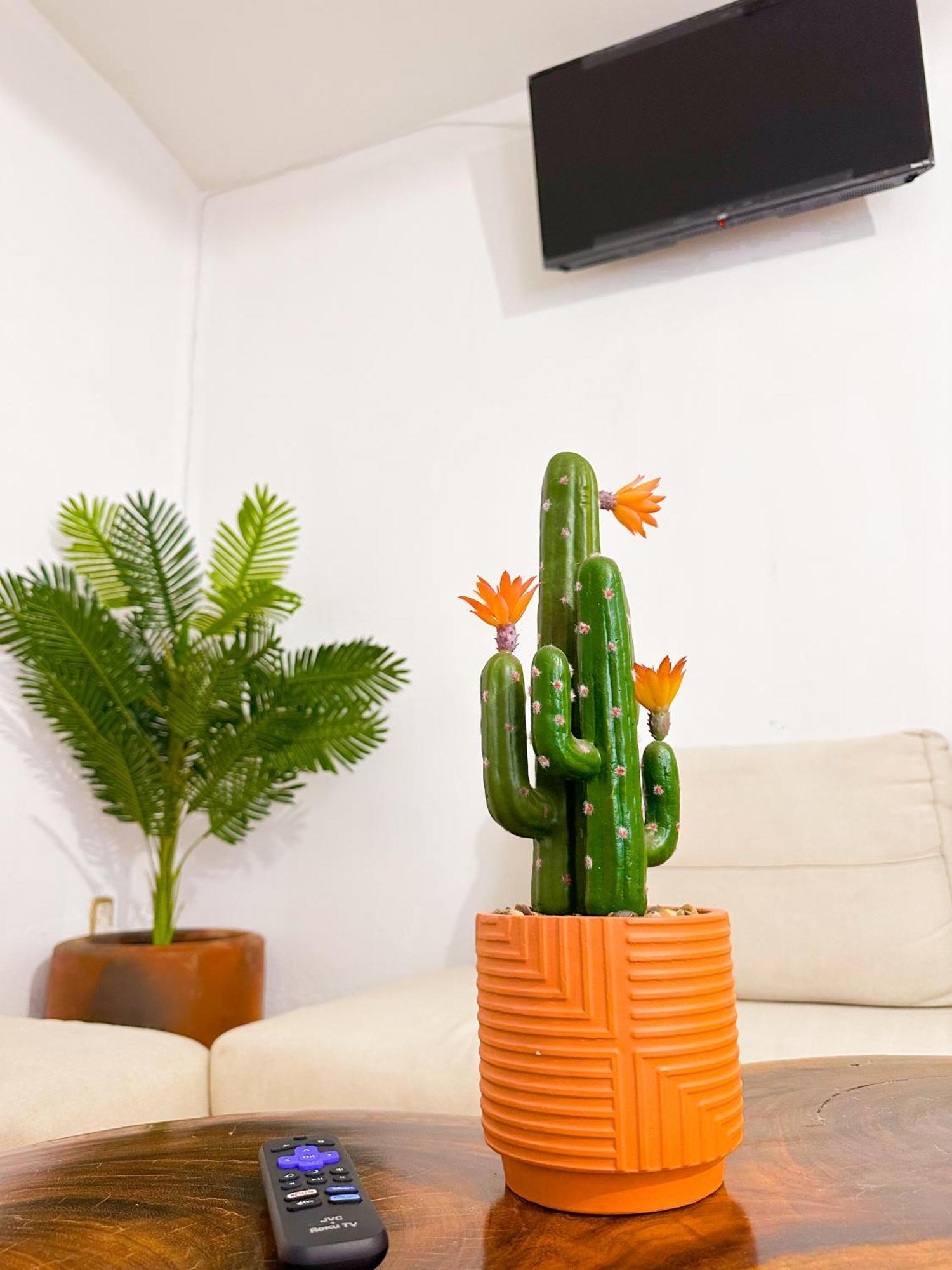 Habitaciones Hvuz, Centro Oaxaca Buitenkant foto